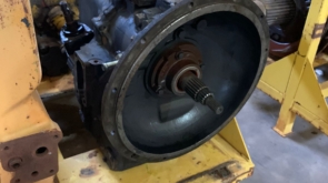 WhatsApp Image 2022-11-01 at 09.04.07